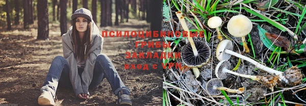 круглые Нефтегорск