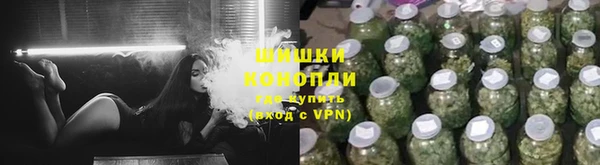 трава Надым
