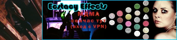 индика Козельск