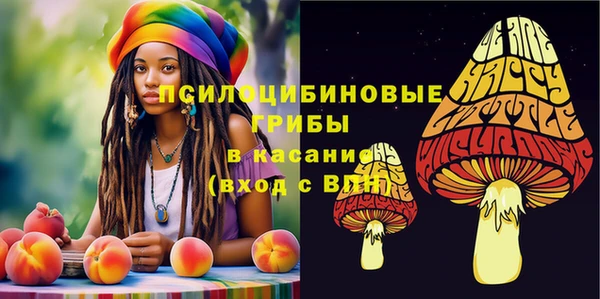 молекула духа Навашино